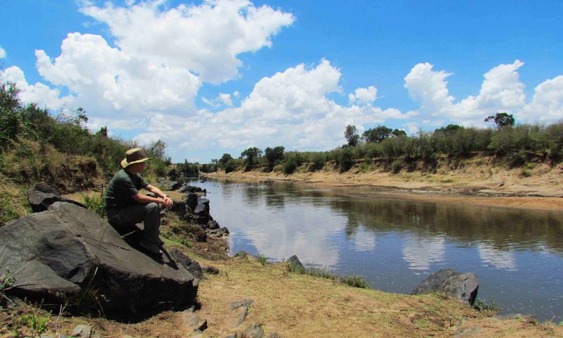 Lake Naivasha raptor rescue and freshwater ecosystem research
