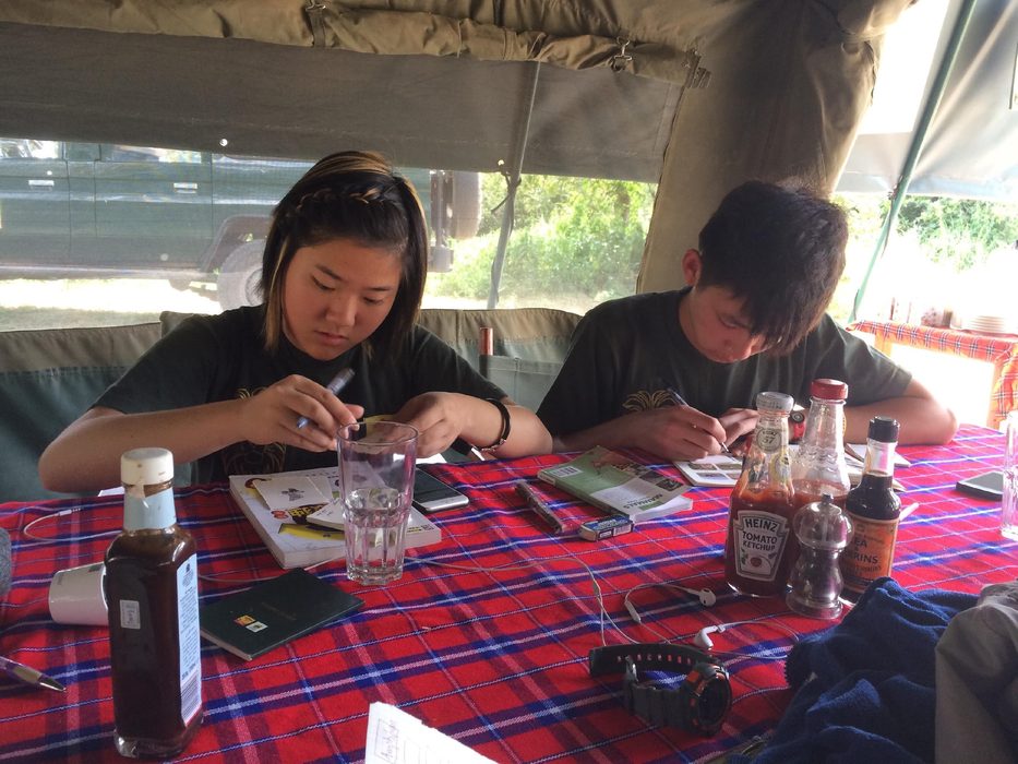 Cally — NYU and Stanford Law — conservation policy advocacy